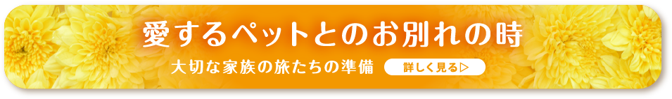 愛するペットとのお別れの時